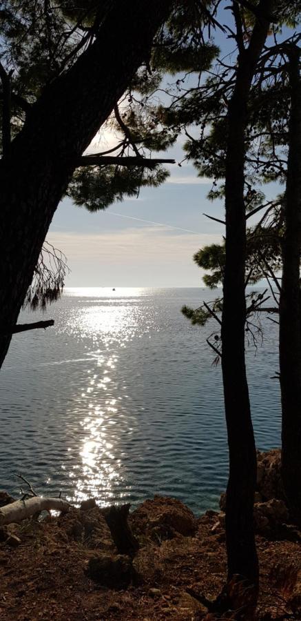 Luxury Apartment Spa "Marina" Makarska Exterior foto