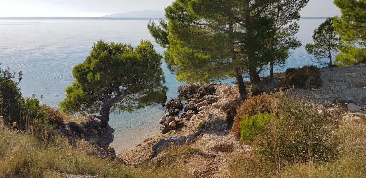 Luxury Apartment Spa "Marina" Makarska Exterior foto
